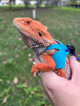 Load image into Gallery viewer, Lizard Harness - Baby Size 50-75g
