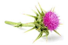 Load image into Gallery viewer, Milk Thistle Seed Powder