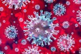 The Coronavirus! And other Natural Disasters or Epidemics