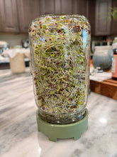 Load image into Gallery viewer, Herbivore Seed Mix for Sprouting Greens!
