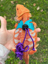 Load image into Gallery viewer, Lizard Harness - XL Size 500-700g
