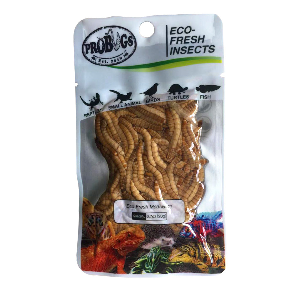 PROBUGS Eco-Fresh Mealworms