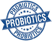 Probiotic Powder